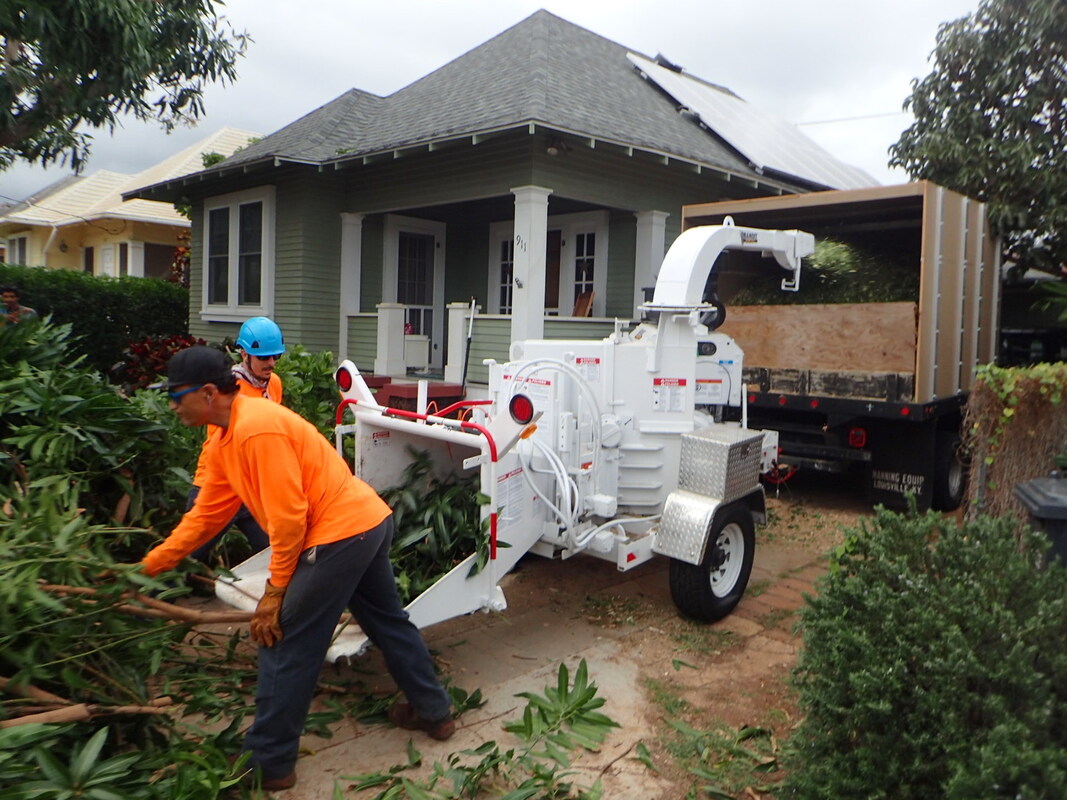 Tree Mulching Services